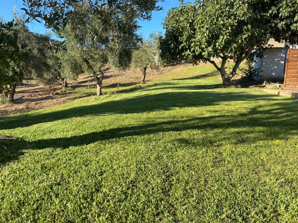 Monte Da Alameda - Piscina Aquecida Villa Santa Luzia  Kültér fotó